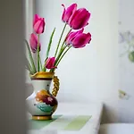Posti 19 Haapsalu